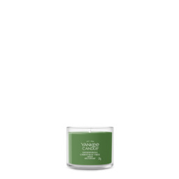 Shimmering Christmas Tree Candle Yankee Candle, Green - Woody - thumbnail 1