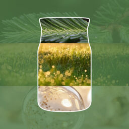 Shimmering Christmas Tree Candle Yankee Candle, Green - Woody - thumbnail 3