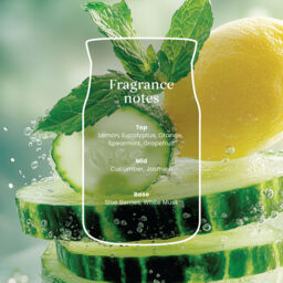 Cucumber Mint Cooler Candle Yankee Candle, Green - Citrus - thumbnail 4