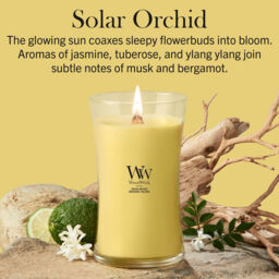 Solar Orchid Candle WoodWick, Yellow - Floral - thumbnail 6