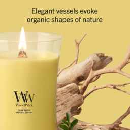 Solar Orchid Candle WoodWick, Yellow - Floral - thumbnail 7