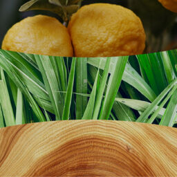 Yuzu & Vetiver Candle WoodWick, Yellow - Fruity & Citrus - thumbnail 3