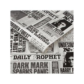 Harry Potter Kids Daily Prophet Wallpaper, Multi