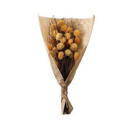 Gallery Dried Thistle Bundle In Paper Wrap - Ochre