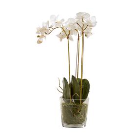 image-Faux Phalaenopsis Orchid With Glass Vase - White