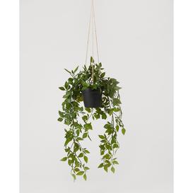 Hanging Ivy Artificial Plant