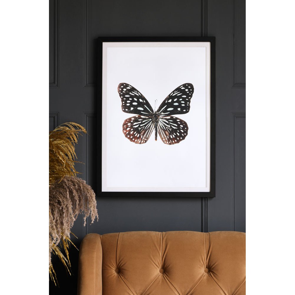 Framed Beautiful Marbled Butterfly Art Print
