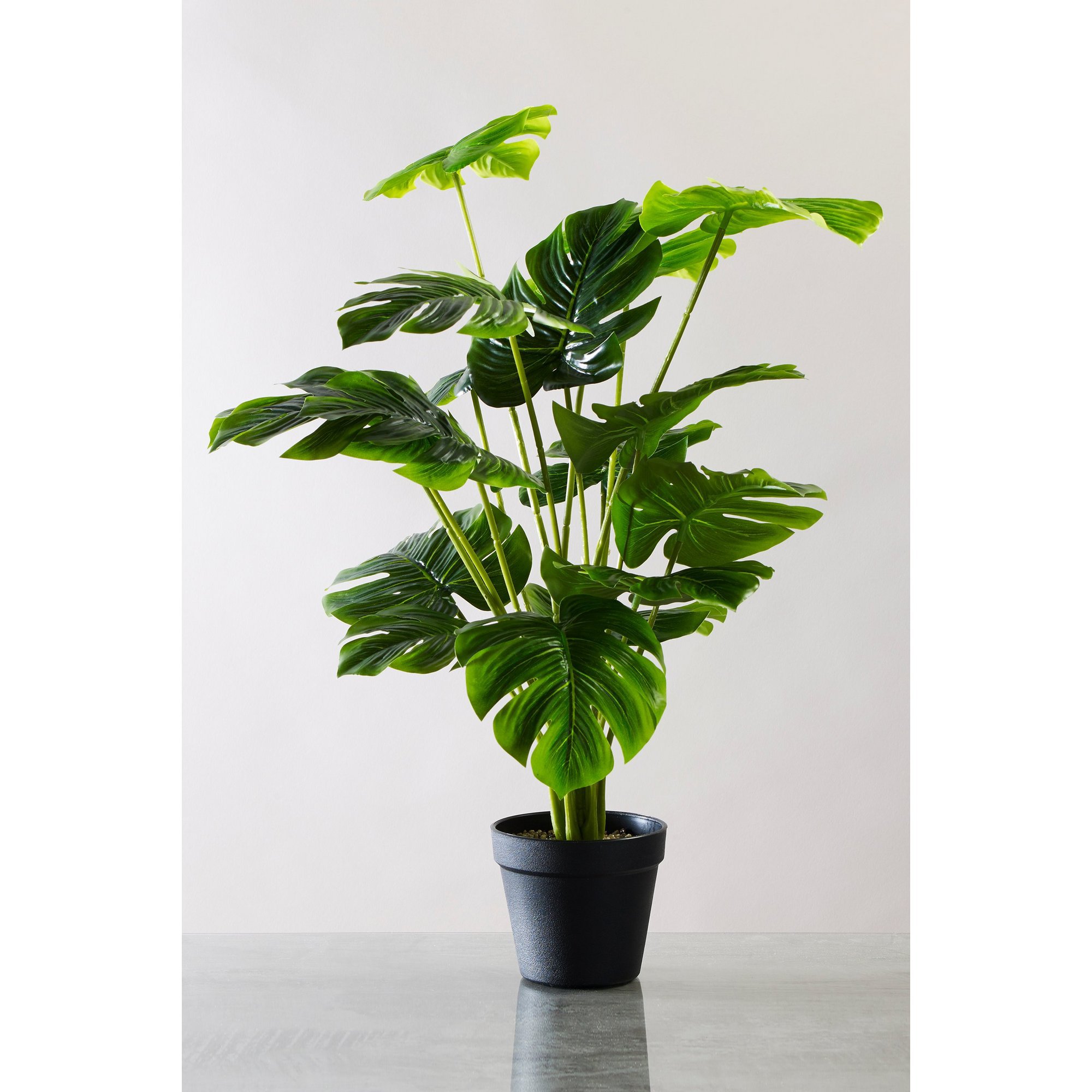 Artificial Cheese Plant