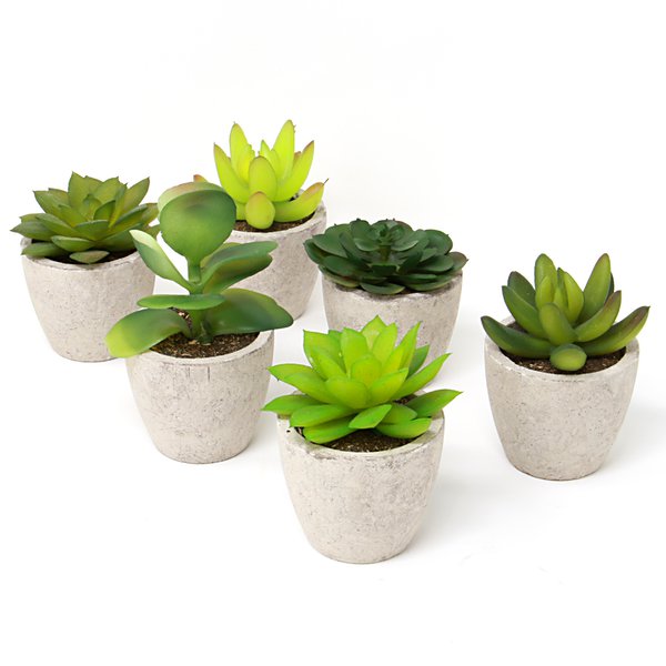 Set Of 6 Artificial Faux Succulent Plants - M&w