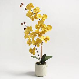 image-Artificial Orchid Ochre in Grey Pot 56cm Ochre
