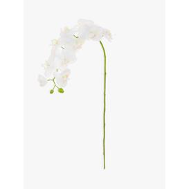 image-Floralsilk Artificial Phalaenopsis Orchid, White