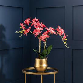 image-Artificial Orchid Coral in Gold Pot 66cm Pink