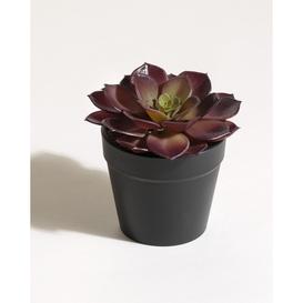 Succulent Artificial Plant Small