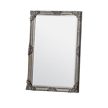 Hometown Interiors Begrave Rectangle Mirror - Champagne