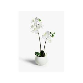 image-John Lewis & Partners Artificial Small White Orchid