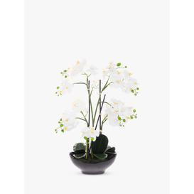 image-Floralsilk Artificial White Orchid in Black Pot