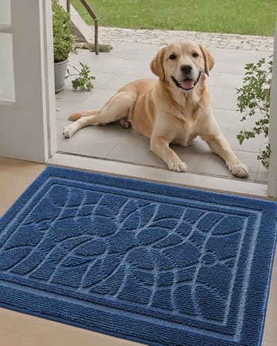 DEXI Front Door Mat for Home Entrance, 20