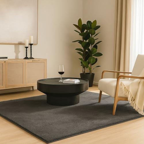 VOUNOT® Fluffy Rugs for Living Room and Bedroom, Soft Shaggy Floor ...