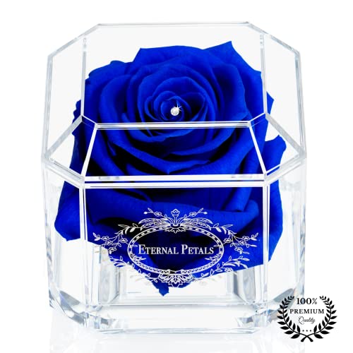 Eterfield Preserved Roses That Last a Year Eternal Rose in
