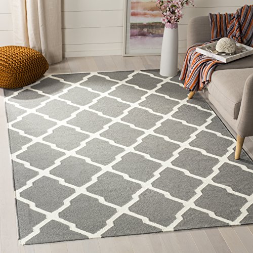 SAFAVIEH Contemporary Rug for Living Room, Dining Room, Bedroom ...