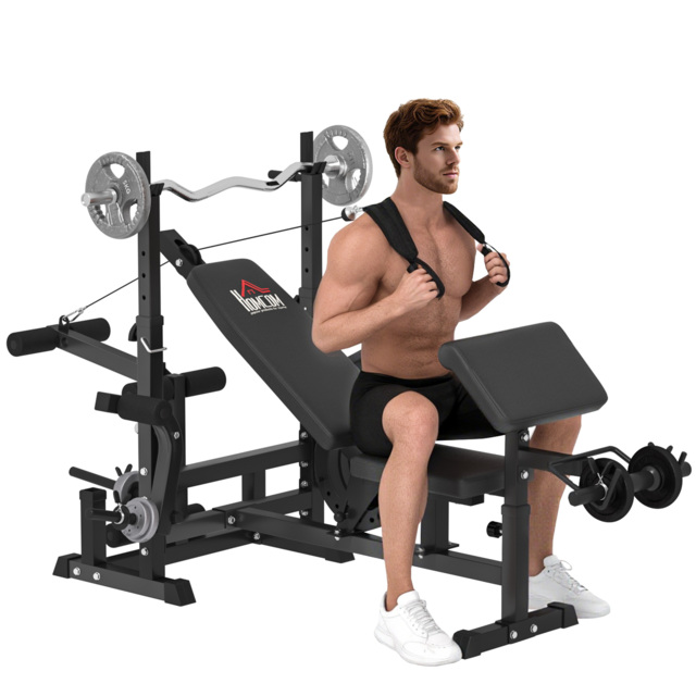 Pressing Extension Rack HOMCOM Multi-Exercise Full-Body Weight Rack with Bench Press, Leg ...