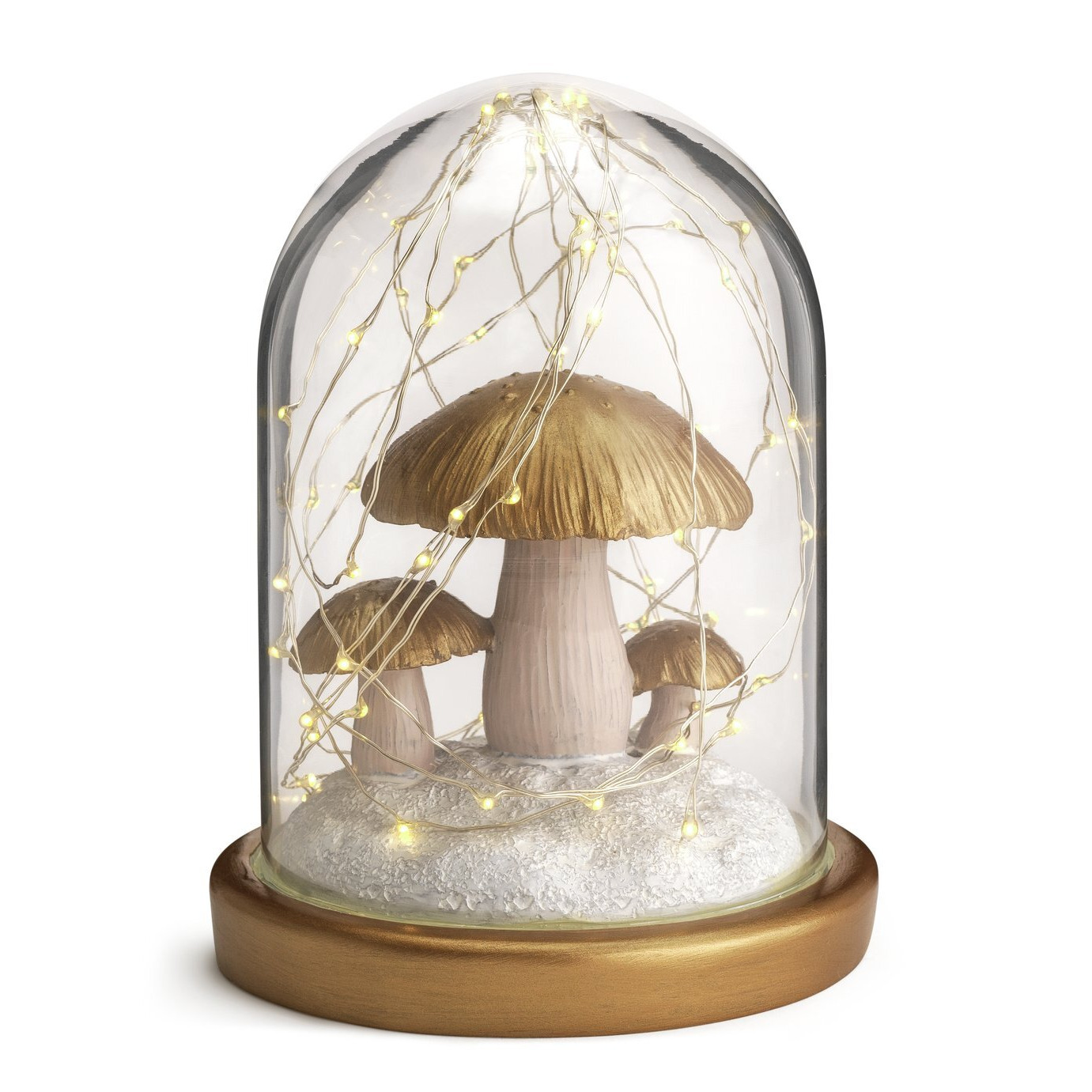 Habitat Light Up Mushroom Scene Cloche by Argos