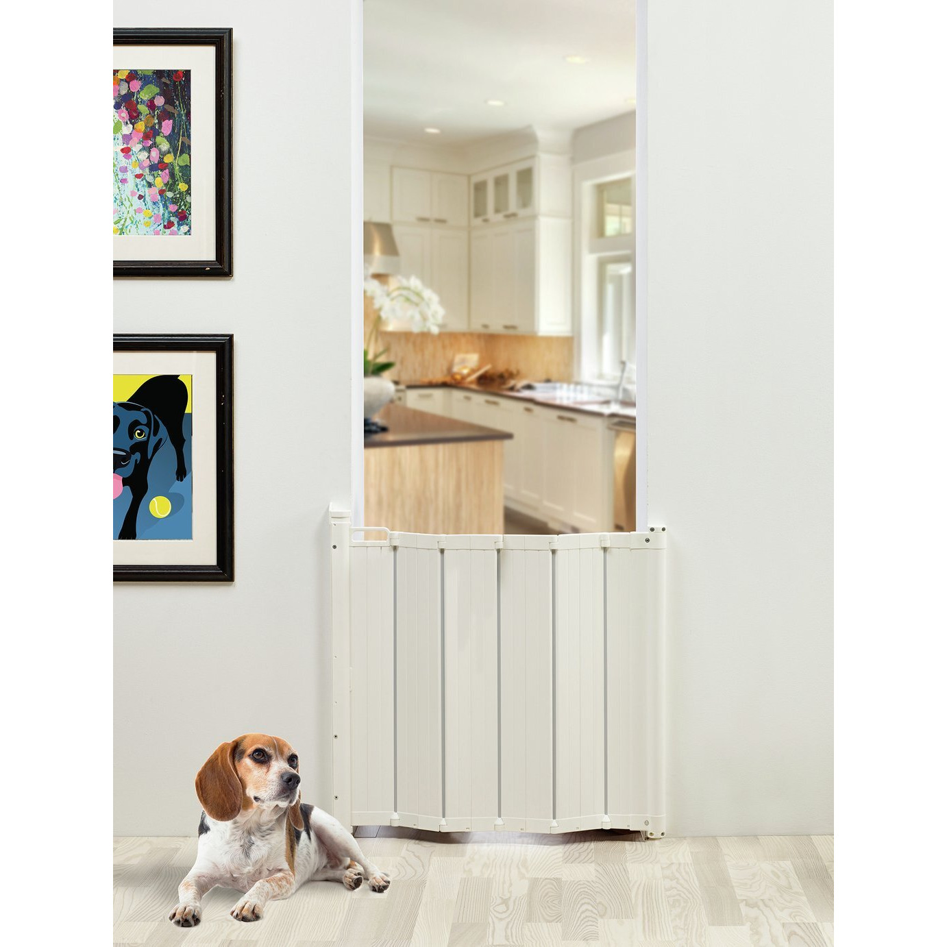 Scandinavian Pet Design Guard Me Gate by Argos | ufurnish.com