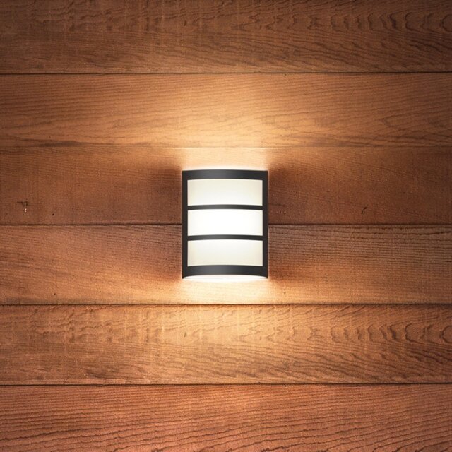 Philips LED Python Outdoor Wall light by Argos | ufurnish.com