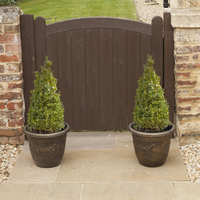 You Garden Yougarden Box Buxus Shrub Pyramids, Set Of Two 45-50Cm Tall ...