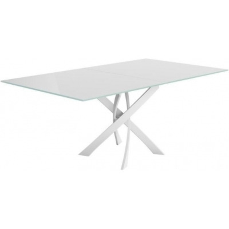 Gleason White Glass Top 6 Seater Extending Dining Table by Choice