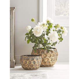 Two Gilded Planters