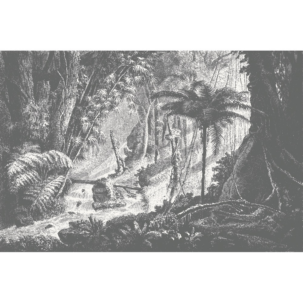 Amazonia Wall Mural (colour: Monochrome, size: Large (450w x 300h))