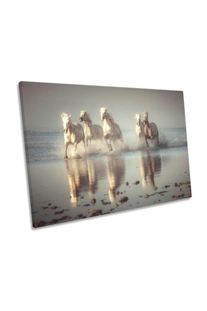 "CanvasGeeks Camargue White Horses Beach Canvas Wall Art Picture Print ...