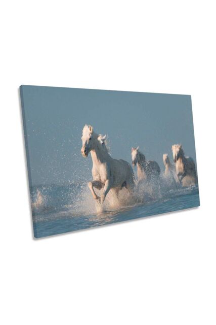"CanvasGeeks Angels of Camargue Horses Canvas Wall Art Picture Print in ...
