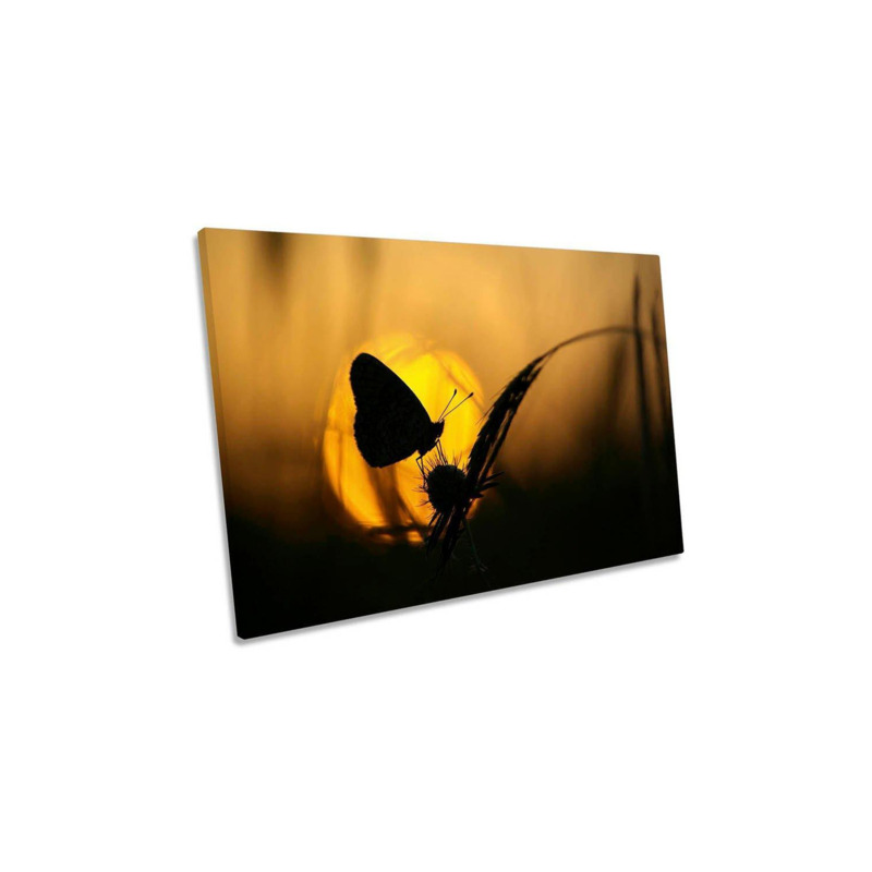Butterfly Sunset Floral Orange Canvas Wall Art Picture Print by