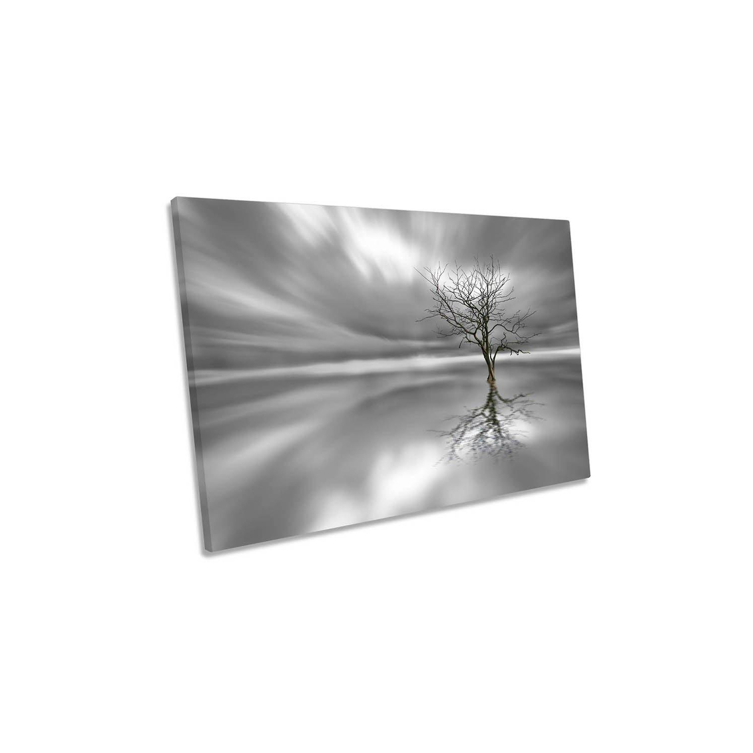 Ghost Tree Reflection Grey Canvas Wall Art Picture Print by Debenhams