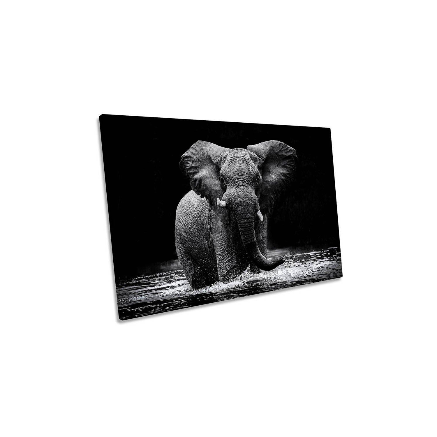 Elephant Water Splash Animal Canvas Wall Art Picture Print by Debenhams