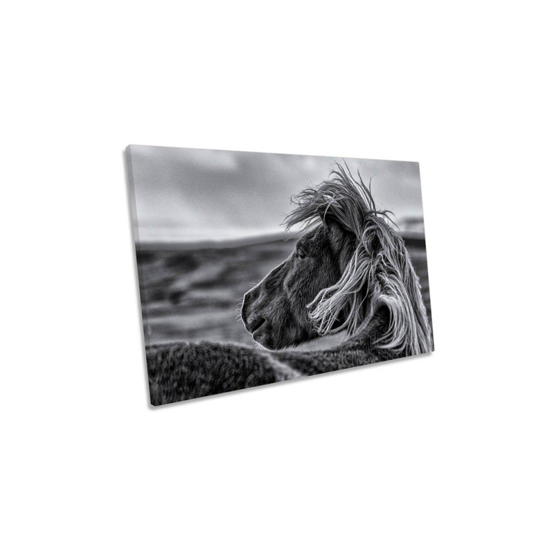 Glance Back Horse Animal Canvas Wall Art Picture Print by Debenhams