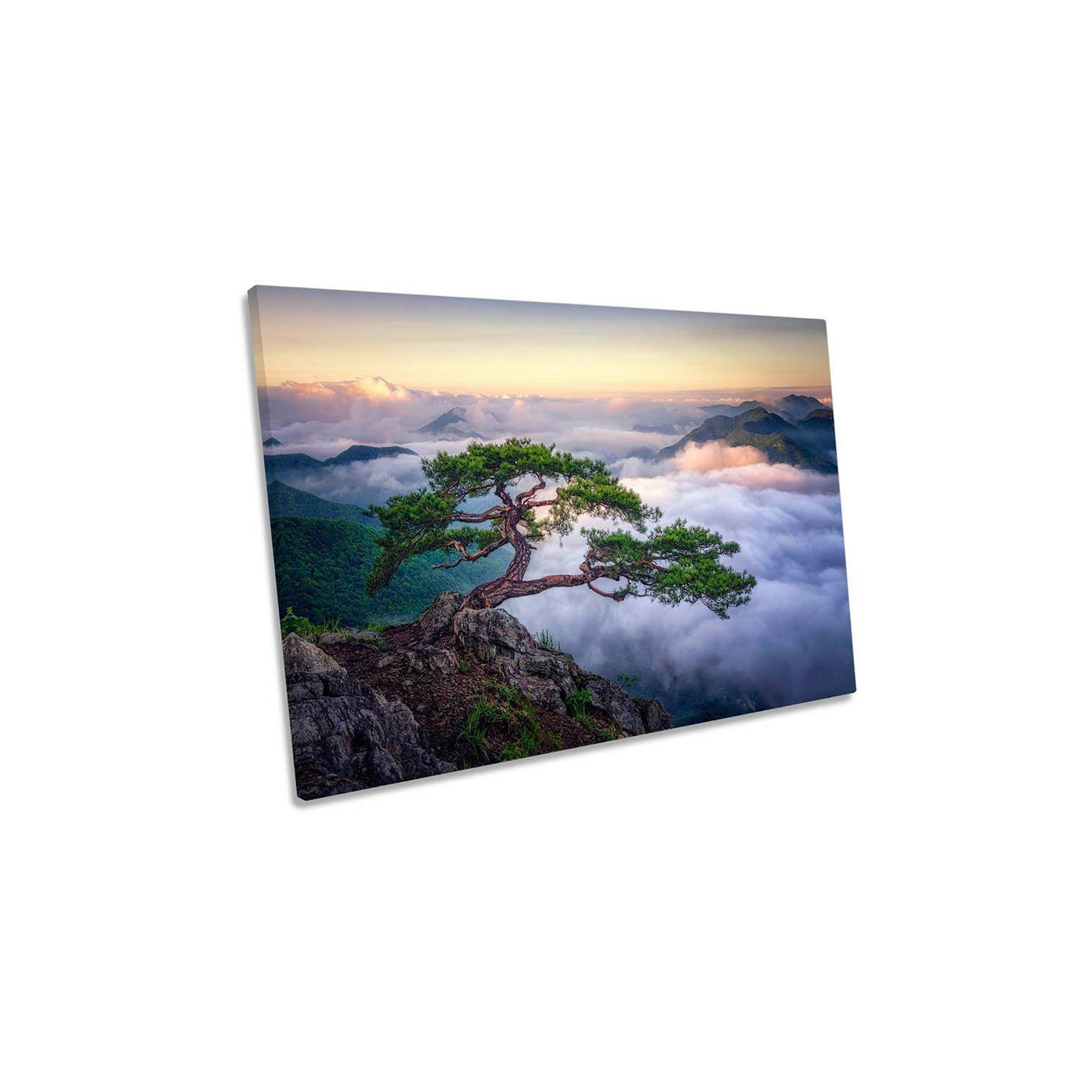 On the Rock Mountain Bonsai Tree Cloudy Canvas Wall Art Picture Print