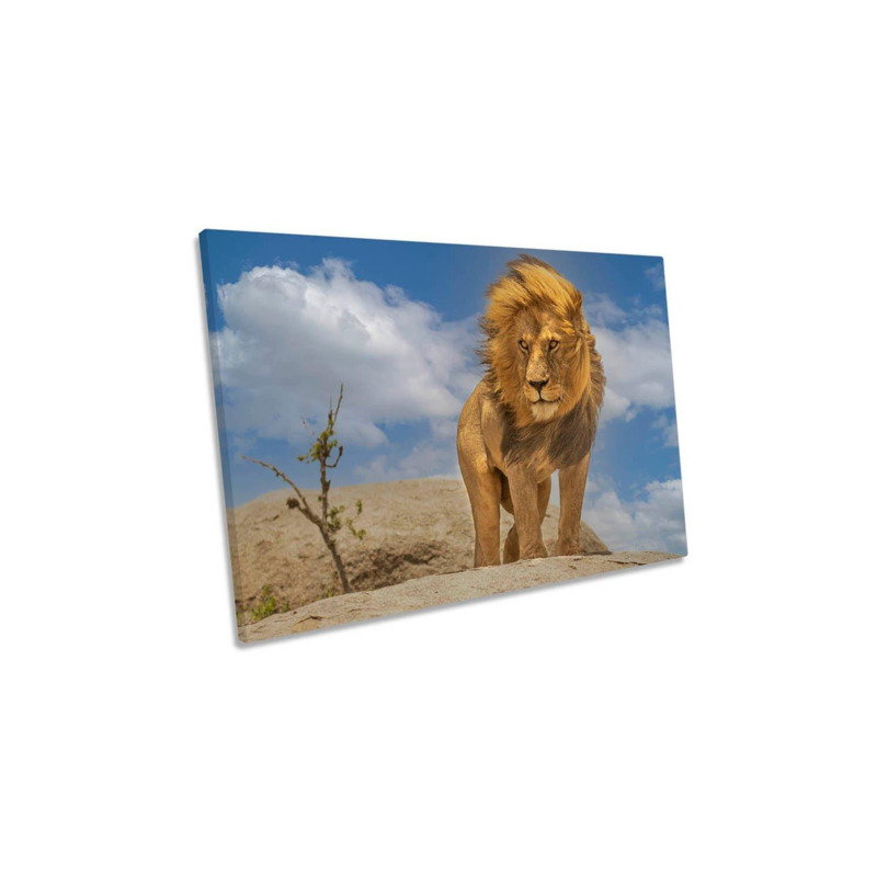 The Lion King Wildlife Animal Canvas Wall Art Picture Print by