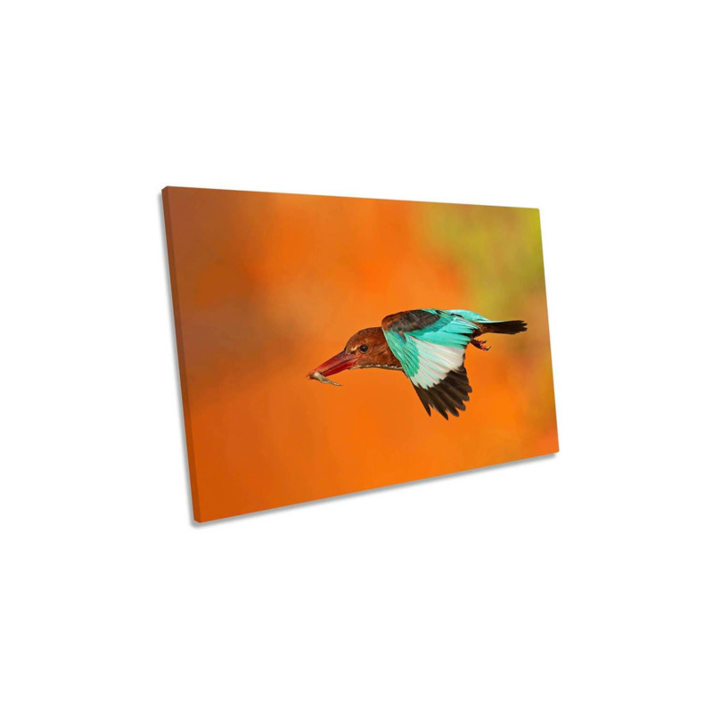 Kingfisher in Flight Bird Wildlife Canvas Wall Art Picture Print by