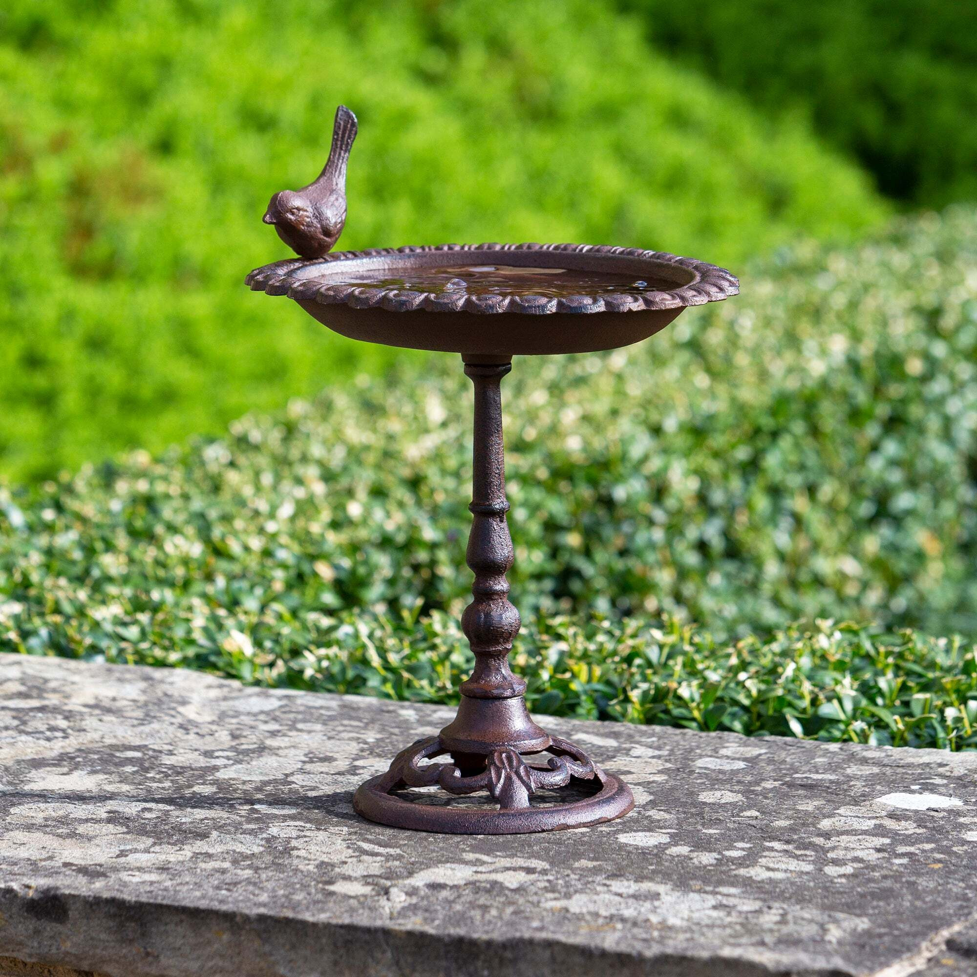 Picture of Cast Iron Bird Bath Brown by Dunelm | ufurnish.com