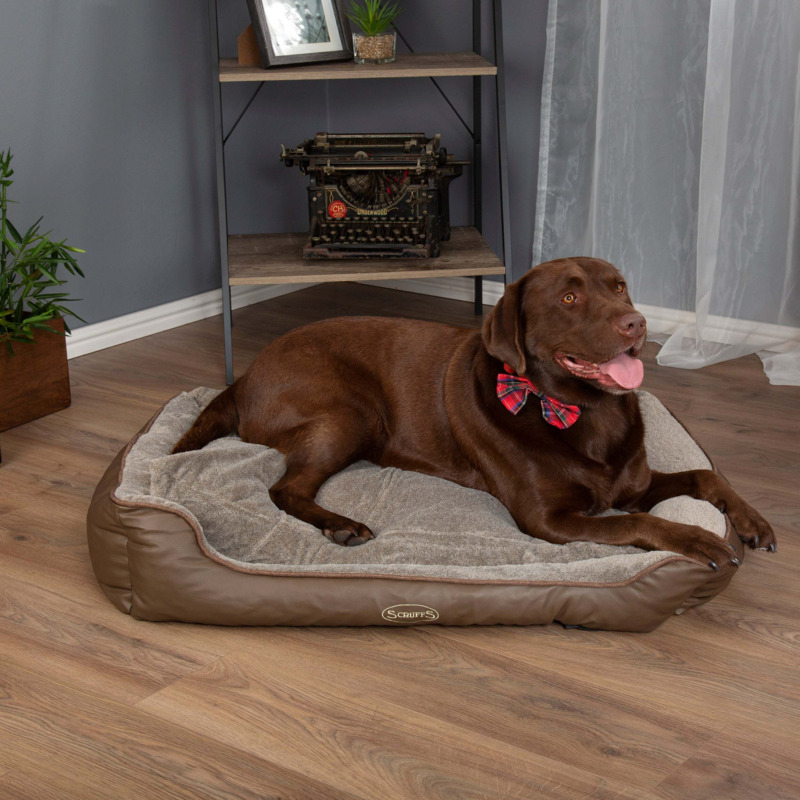 Scruffs Pet Chateau Memory Foam Orthopaedic Box Bed Brown by Dunelm