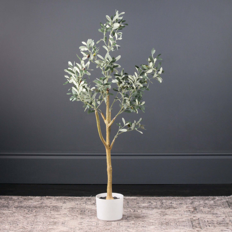 Olive Tree in White Pot 115cm Green by Dunelm