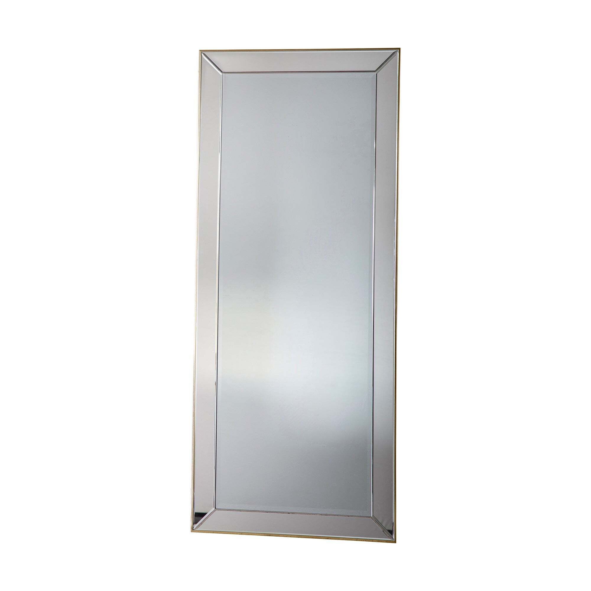 Petra Leaner Mirror, 65x154cm Silver/grey by Dunelm
