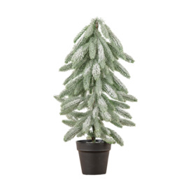 Frosted Pine Tree in Pot 59cm Natural