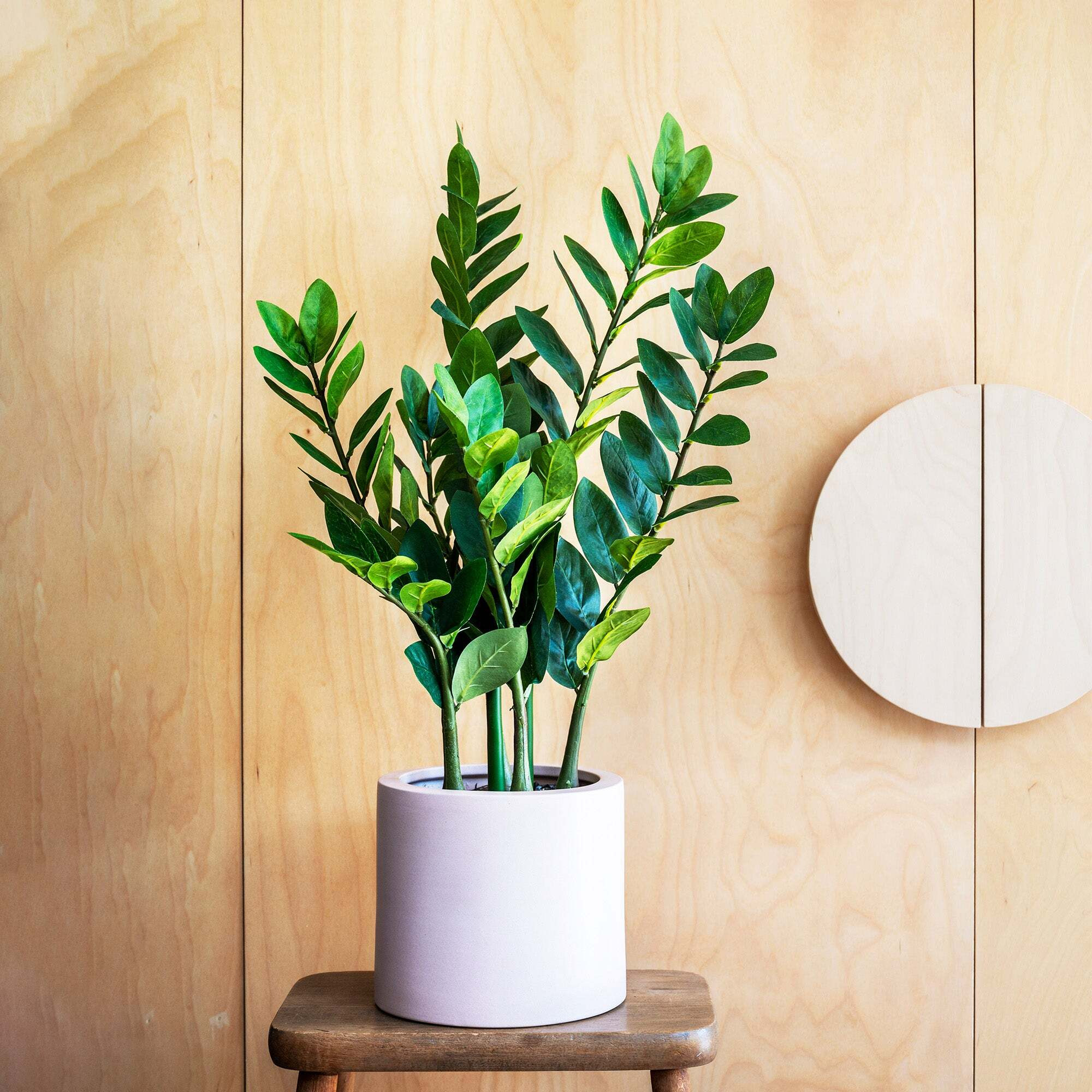 Artificial ZZ Plant 70cm Green by Dunelm