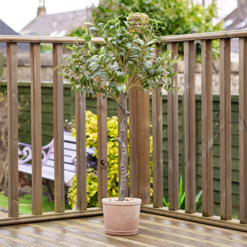 Artificial Olive Tree in Rustic Pot Green by Dunelm