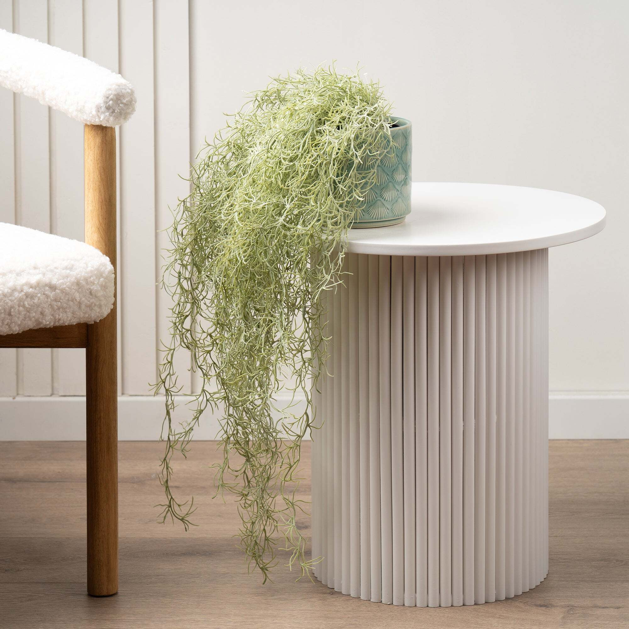 Artificial Trailing Spanish Moss in Black Plastic Plant Pot Green by