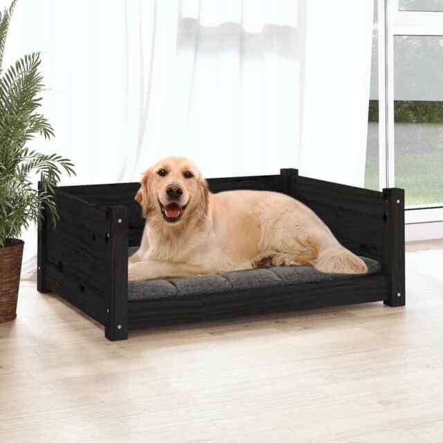 Pet Sofa Bed For Small Dogs & Cats - Wooden Frame Suede Pet Couch For Small Breeds